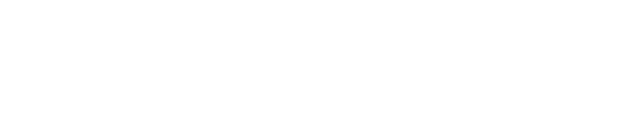 Check Point logo in white