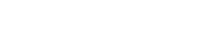 Check Point logo in white