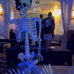 party skeleton